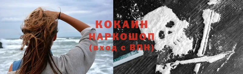 закладка  Ногинск  КОКАИН FishScale 